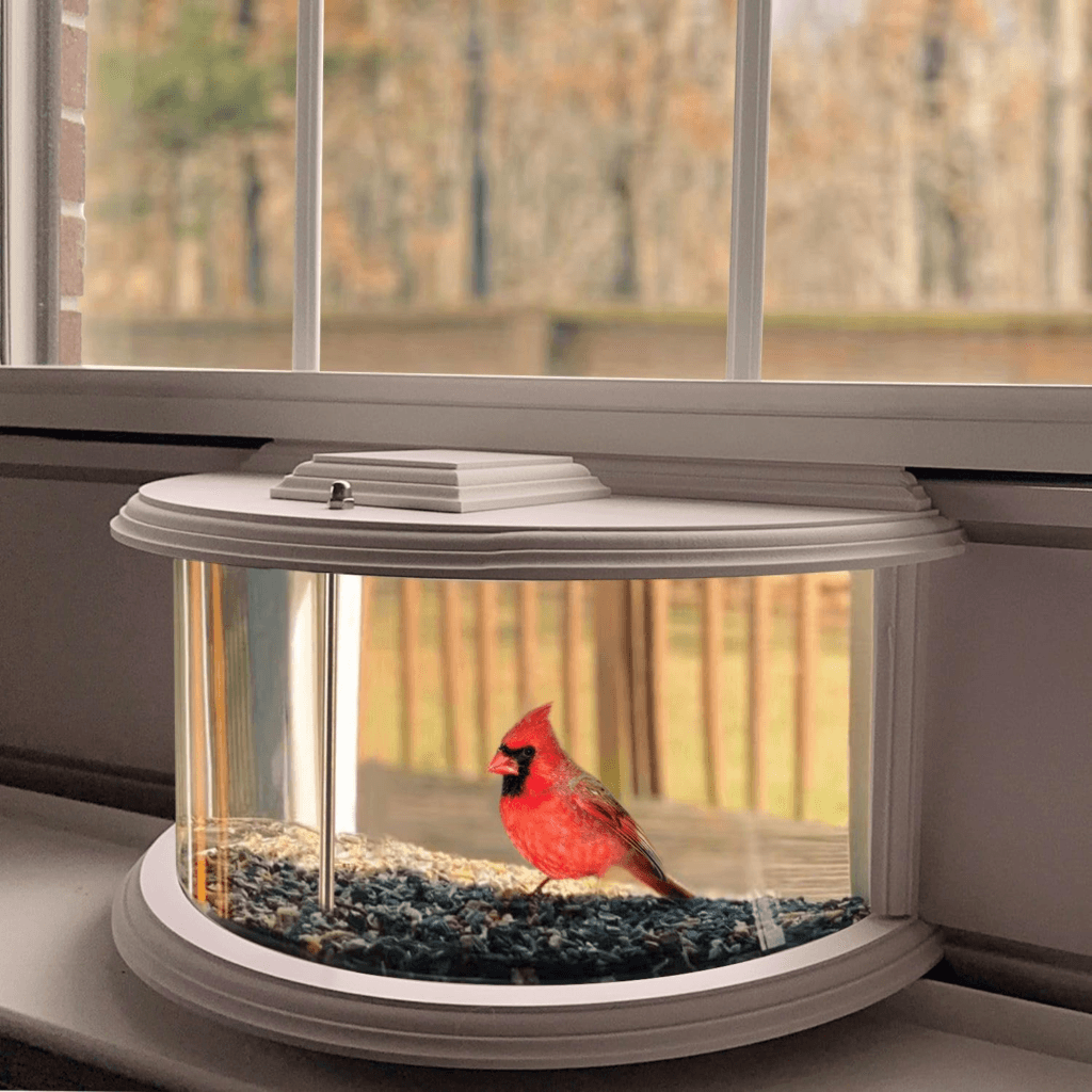 Window Bird Feeders